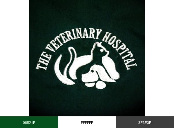 The Veterinary Hospital brand color palette