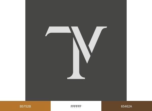 Thomas Vooght Design brand color palette