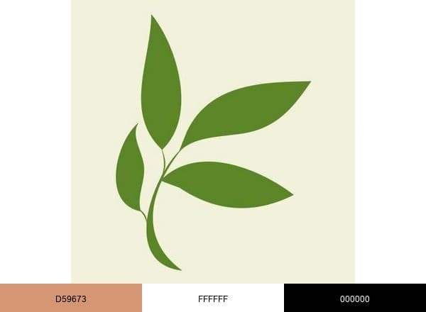 Timberline Knolls brand color palette