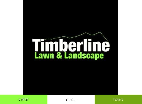 Timberline Dallas brand color palette