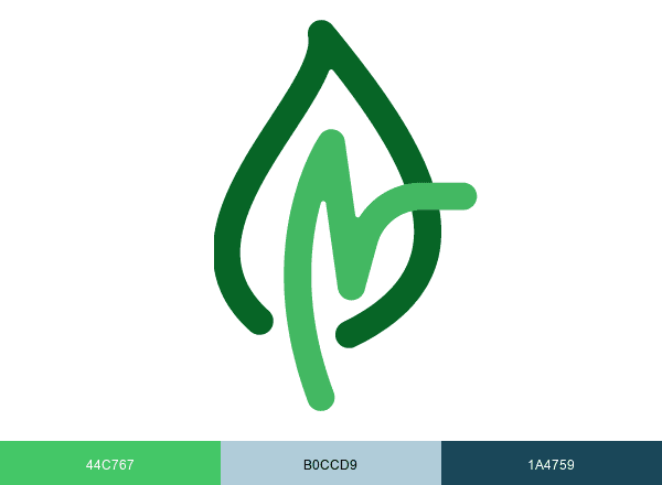 TLC Doctors brand color palette