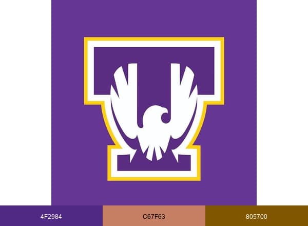 TN Tech brand color palette