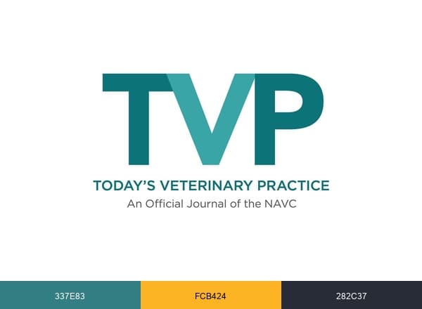 Today's Veterinary Practice brand color palette