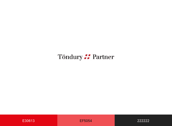 Töndury + Partner AG brand color palette