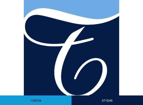 TransPerfect brand color palette