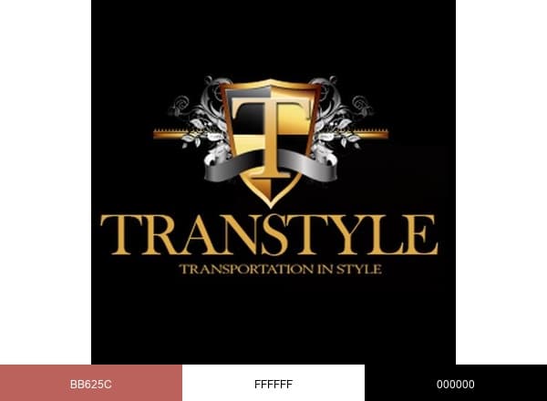 Transtyle brand color palette