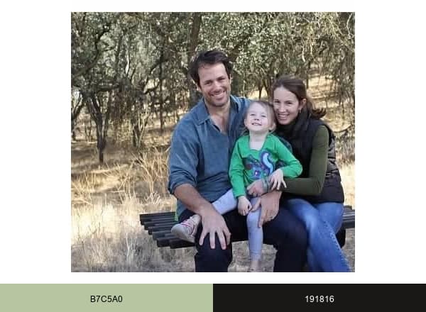 Trees of Antiquity brand color palette