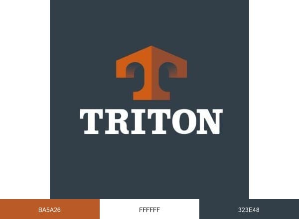 Triton4MSF brand color palette