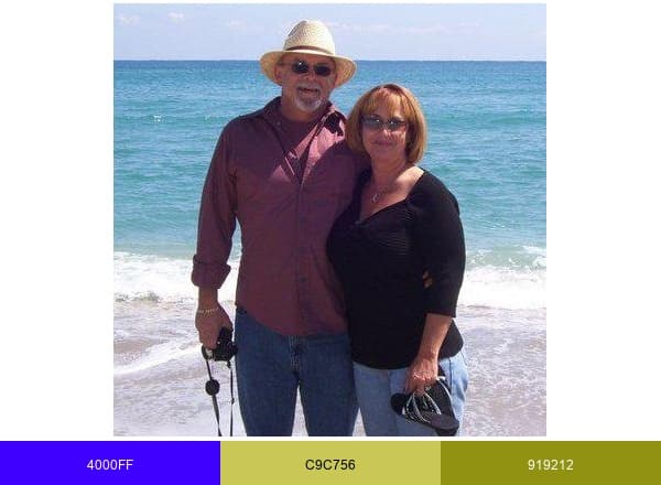 Truck Stops and Services brand color palette