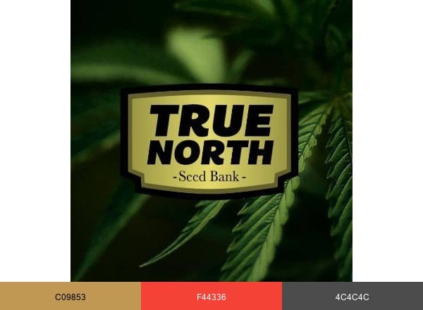 True North Seedbank brand color palette