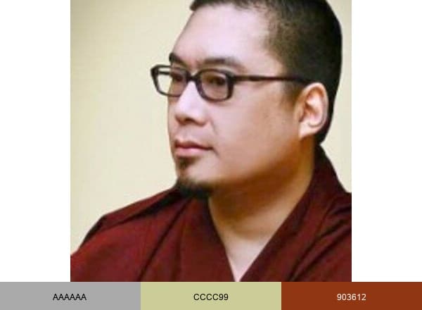 Tsem Tulku Rinpoche brand color palette