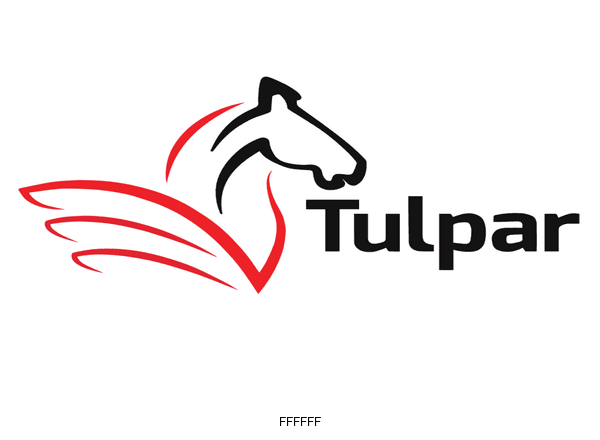 TulparGlobalTaxation brand color palette