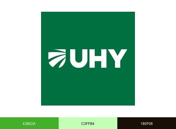 UHY Hacker Young brand color palette