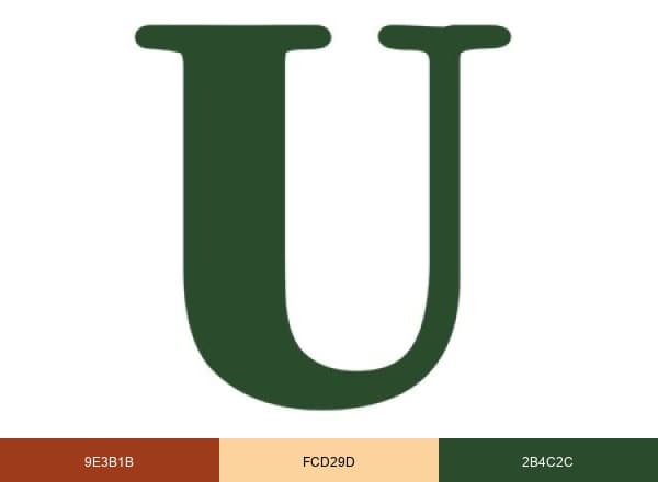 UMA Hub brand color palette