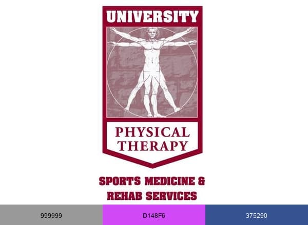University Physical Therapy brand color palette