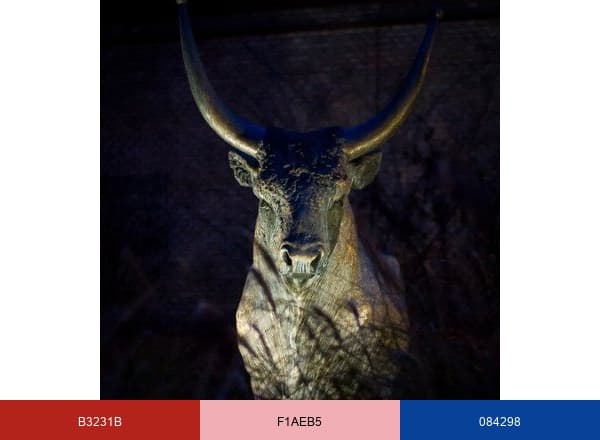 University of Veterinary Medicine Budapest UNIVET brand color palette