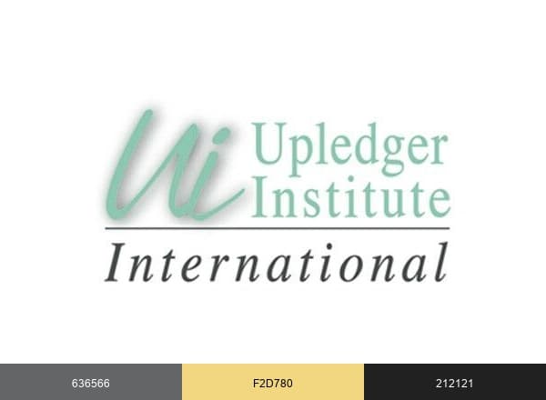 Upledger Institute brand color palette