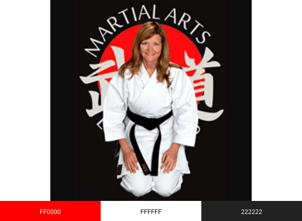 Martial Arts Enterprises brand color palette