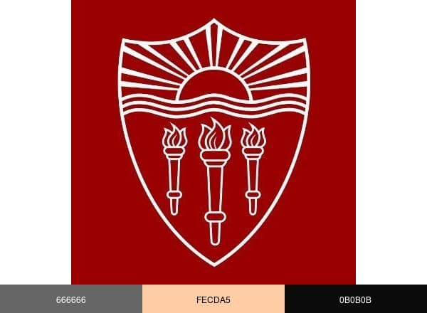 USC brand color palette