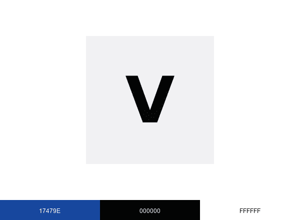 Vaga Treuhand brand color palette