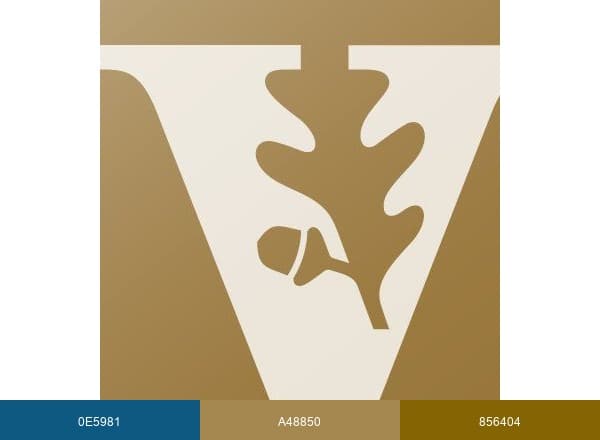 Vanderbilt Health brand color palette