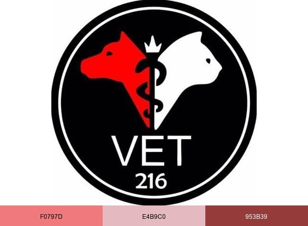 Vet216 Koşuyolu Nöbetçi Veteriner Kliniği brand color palette
