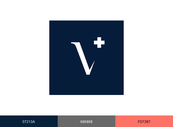 Vetostore brand color palette