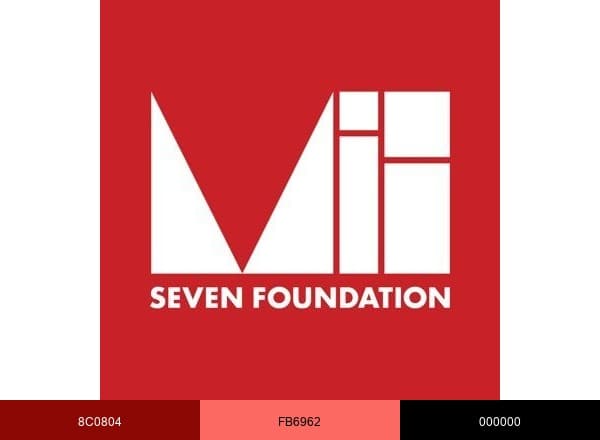 The VII Foundation brand color palette