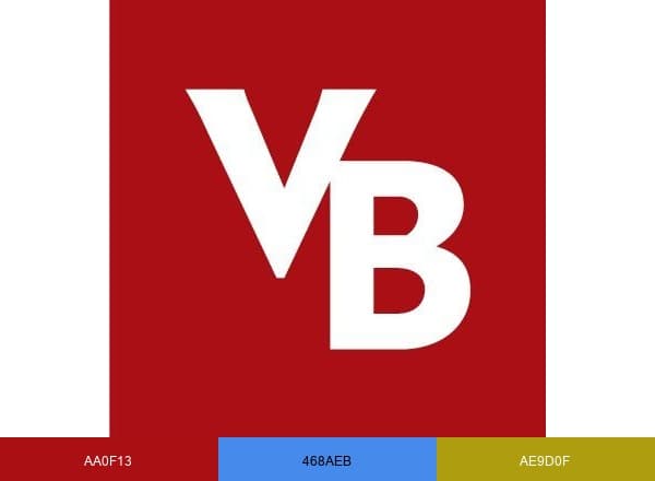 Virginia Business brand color palette