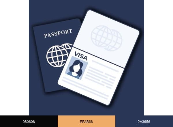 Visa Verge brand color palette