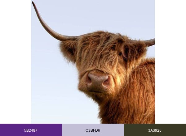 VisitScotland brand color palette