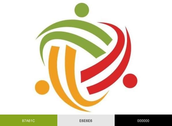 Volunteer World brand color palette