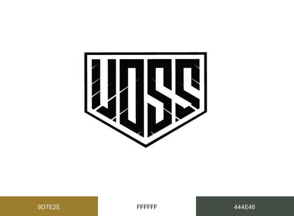 Voss Helmets brand color palette