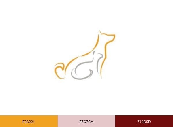 Vscsarasota brand color palette