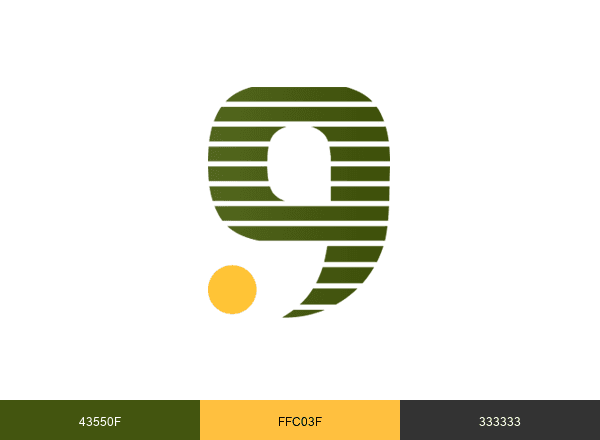 وظائف brand color palette
