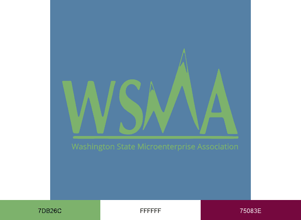 WSMA brand color palette