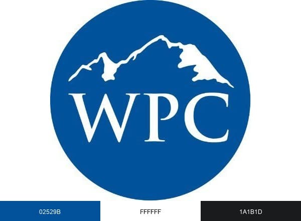 Washington Policy brand color palette