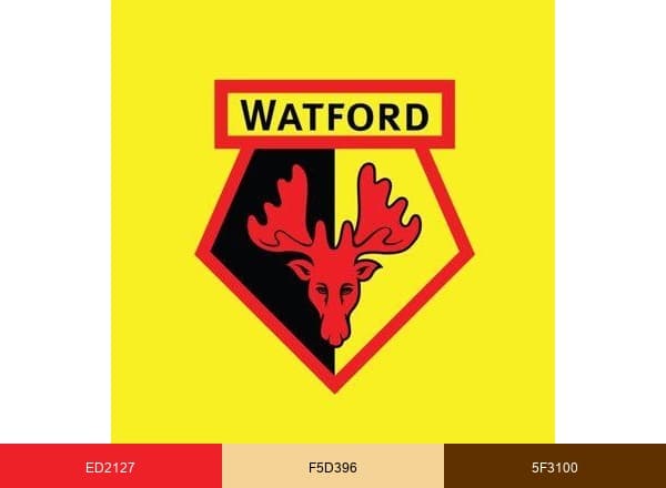 Watford Football Club brand color palette