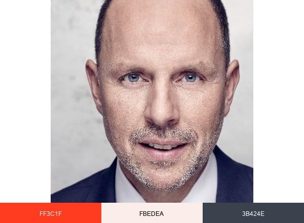 Prof. Christian Solmecke brand color palette