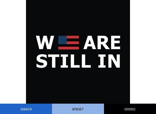 America Is All In brand color palette