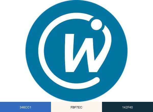 Webconsultas brand color palette