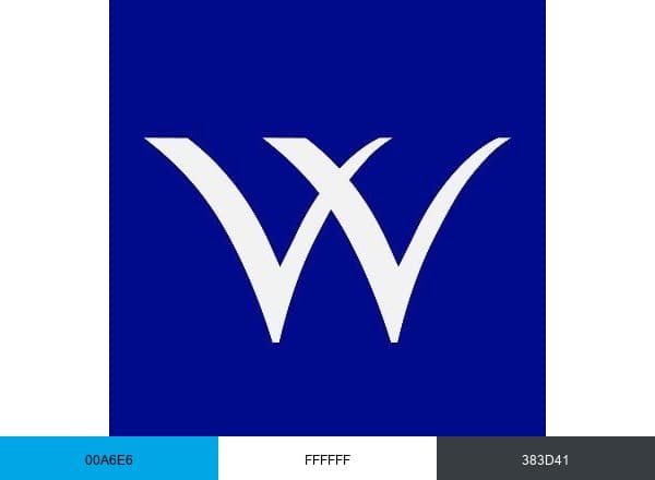 Welspun World brand color palette