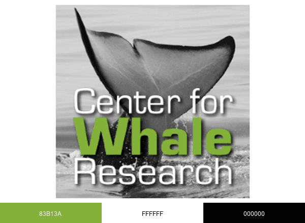 Whale Research brand color palette
