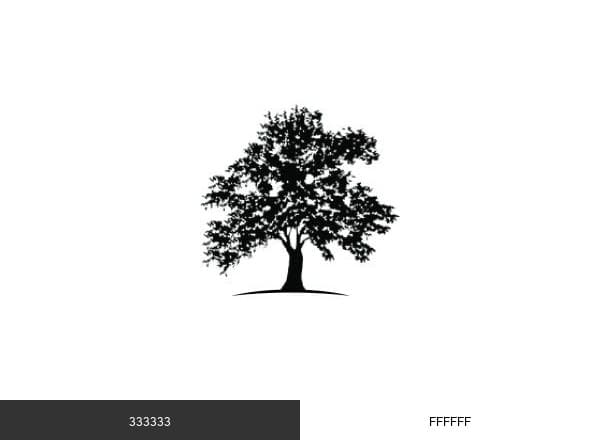 White Oak Global Advisors brand color palette