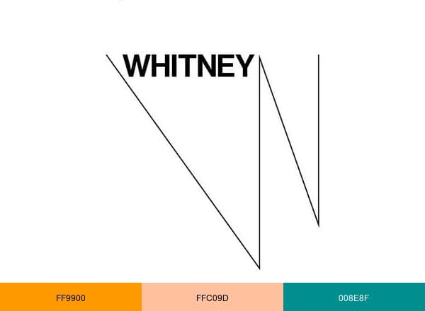 Whitney Museum brand color palette