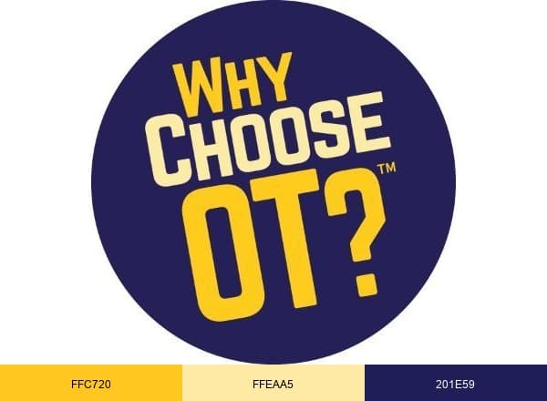 WhyChooseOT brand color palette