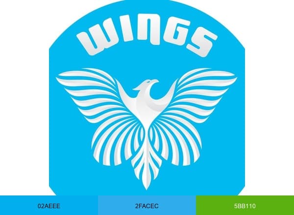 Wings Therapy and Learning Center brand color palette