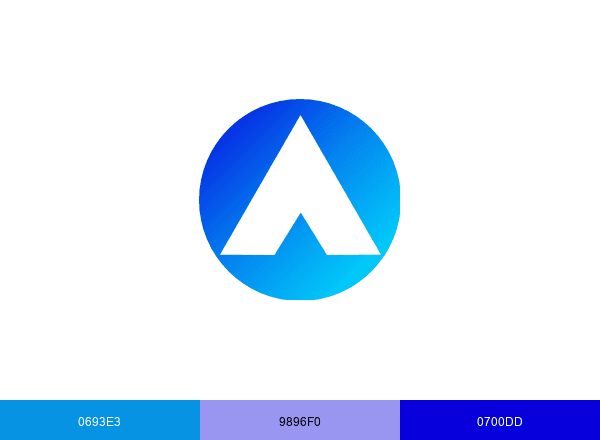 Wirenomads brand color palette