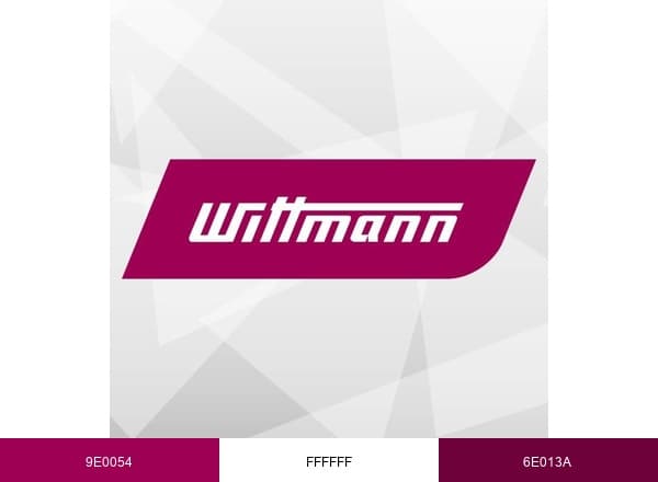 WITTMANN Group brand color palette