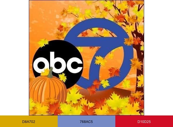7News DC brand color palette